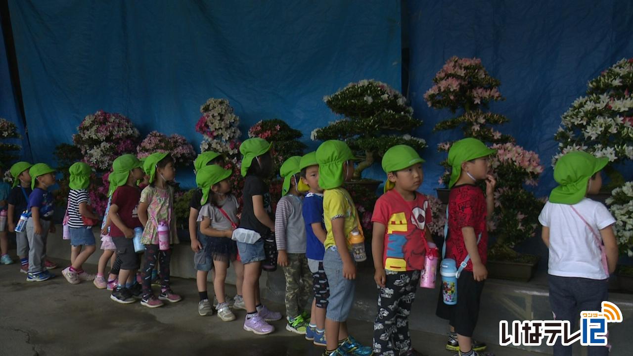 富県保育園の園児　サツキ見学