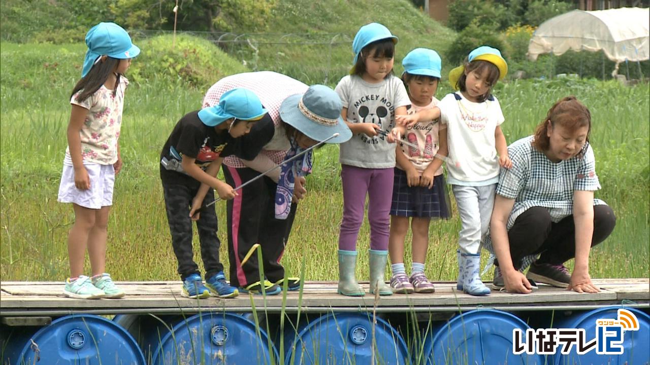 園児たちトンボの楽園で観察会