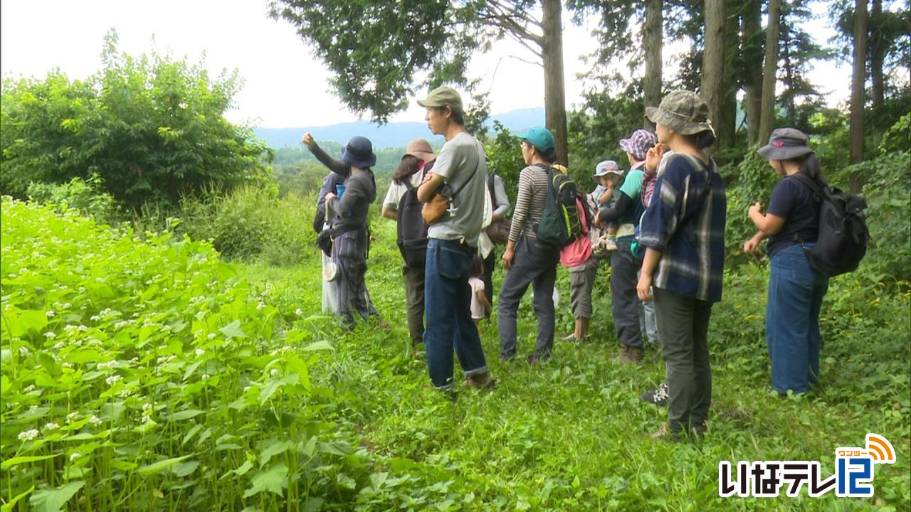 はらぺこ保護者ら山散策イベントの下見