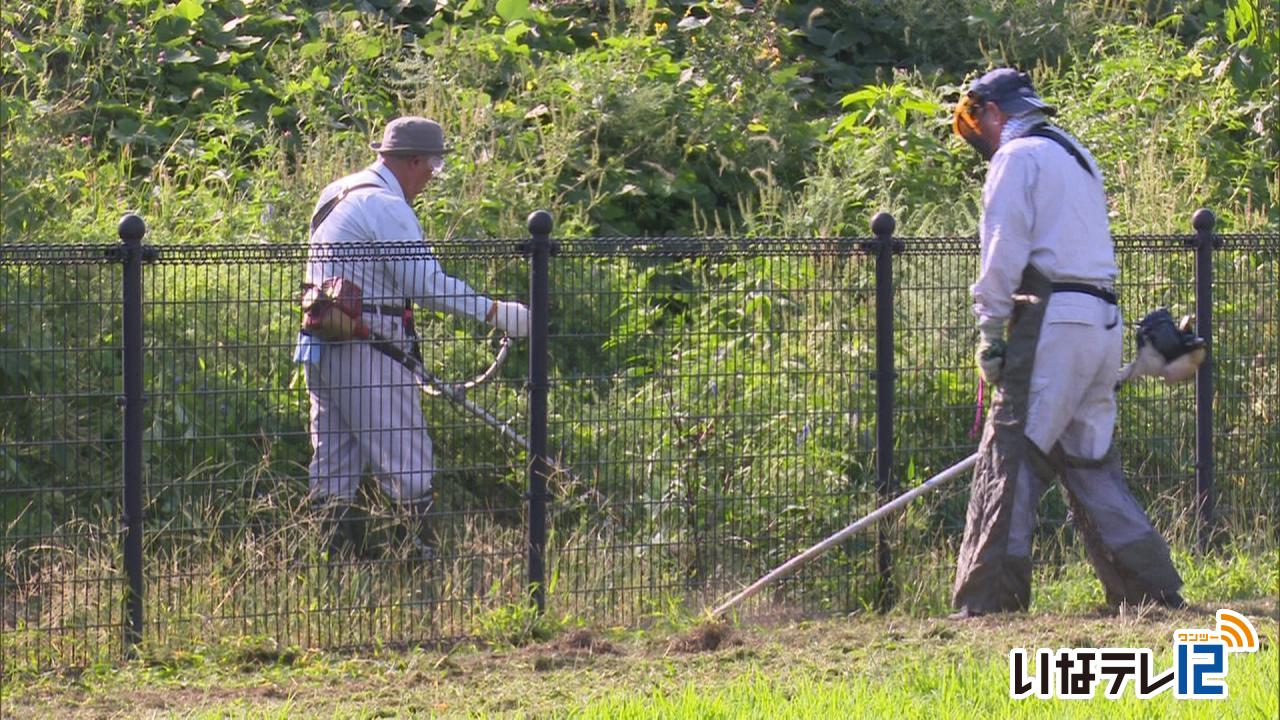 ボランティア団体　双葉公園の草刈り