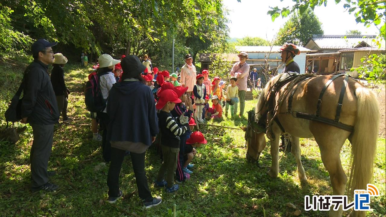 はらぺこで子どもたちが馬搬見学