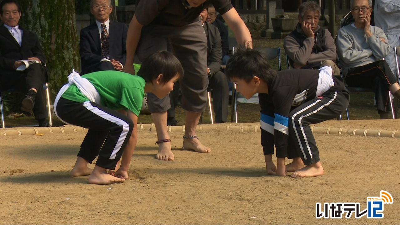 荒井神社で奉納こども相撲大会