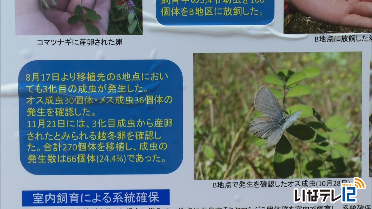 環境展 絶滅危惧種を学ぶ