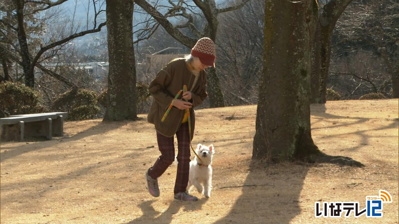 最高気温１９度　春の陽気に