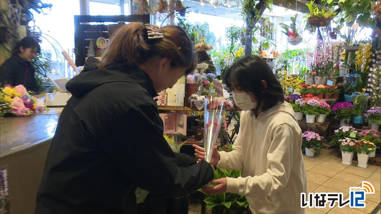 サンスイが小学生に花を無料プレゼント ニュース 伊那谷ねっと