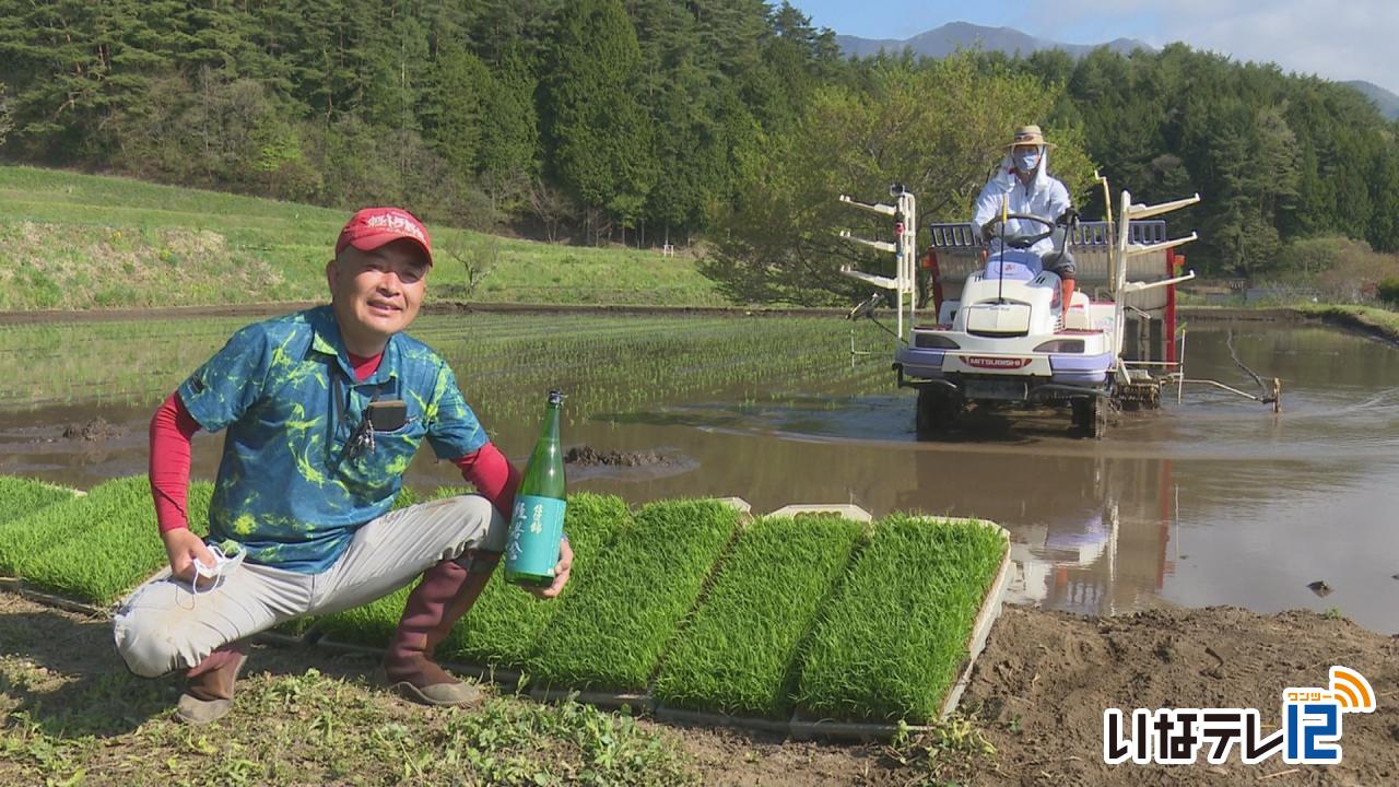 横山維者舎　地元米の日本酒造りへ田植え