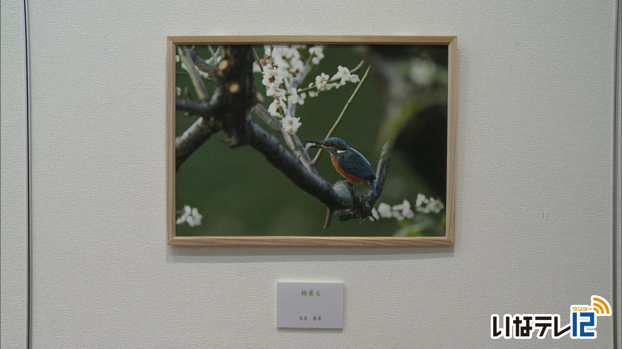 井上さん写真展「花鳥四季彩」