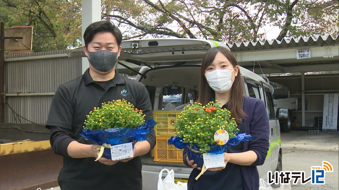 浜松市庄内学園から町に洋菊届く ニュース 伊那谷ねっと