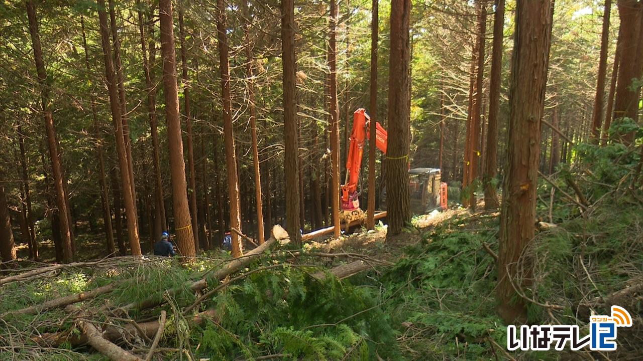 豊島区の事業費で箕輪の森林を整備