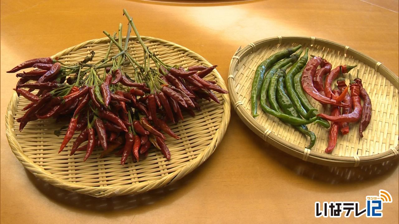 信州の伝統野菜に高遠町の唐辛子２品種が選定