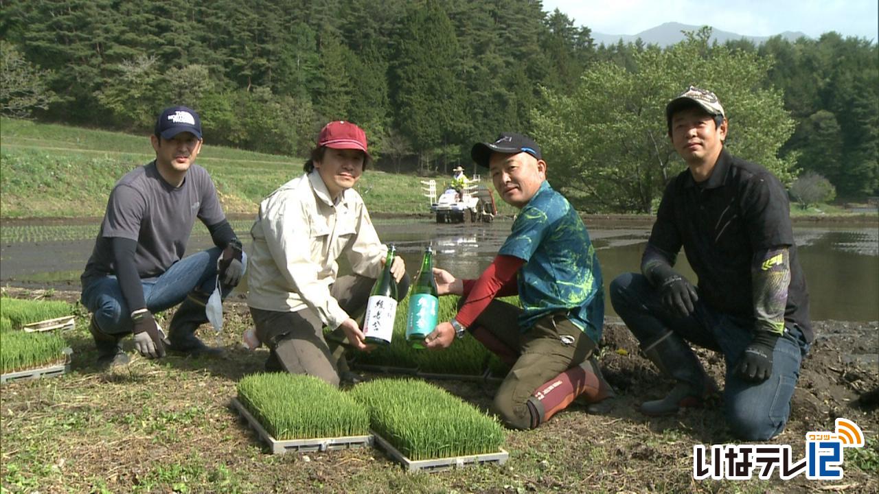 横山維者舎　オリジナル日本酒用の酒米を田植え