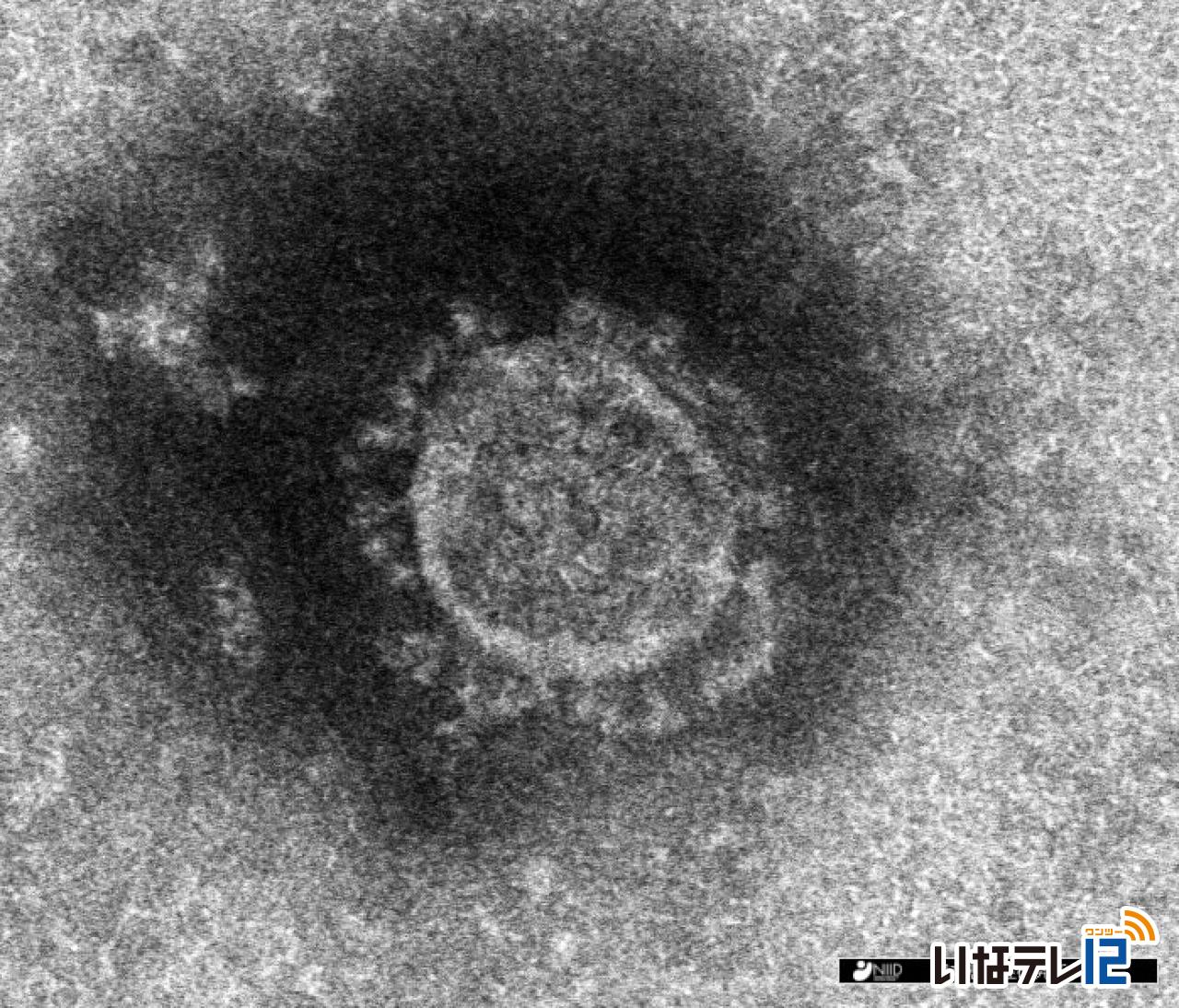 長野県内で新たに５人　新型コロナ感染確認