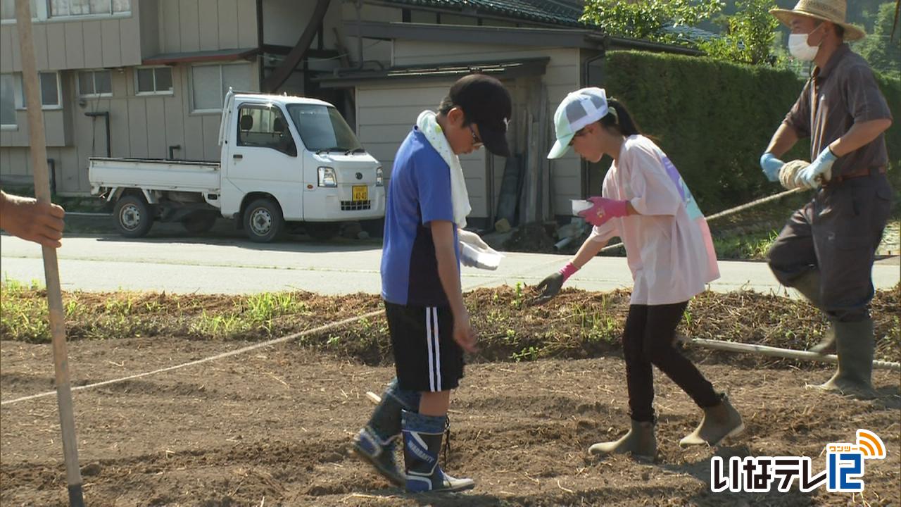 富県小の５年生がそばの種まきに挑戦