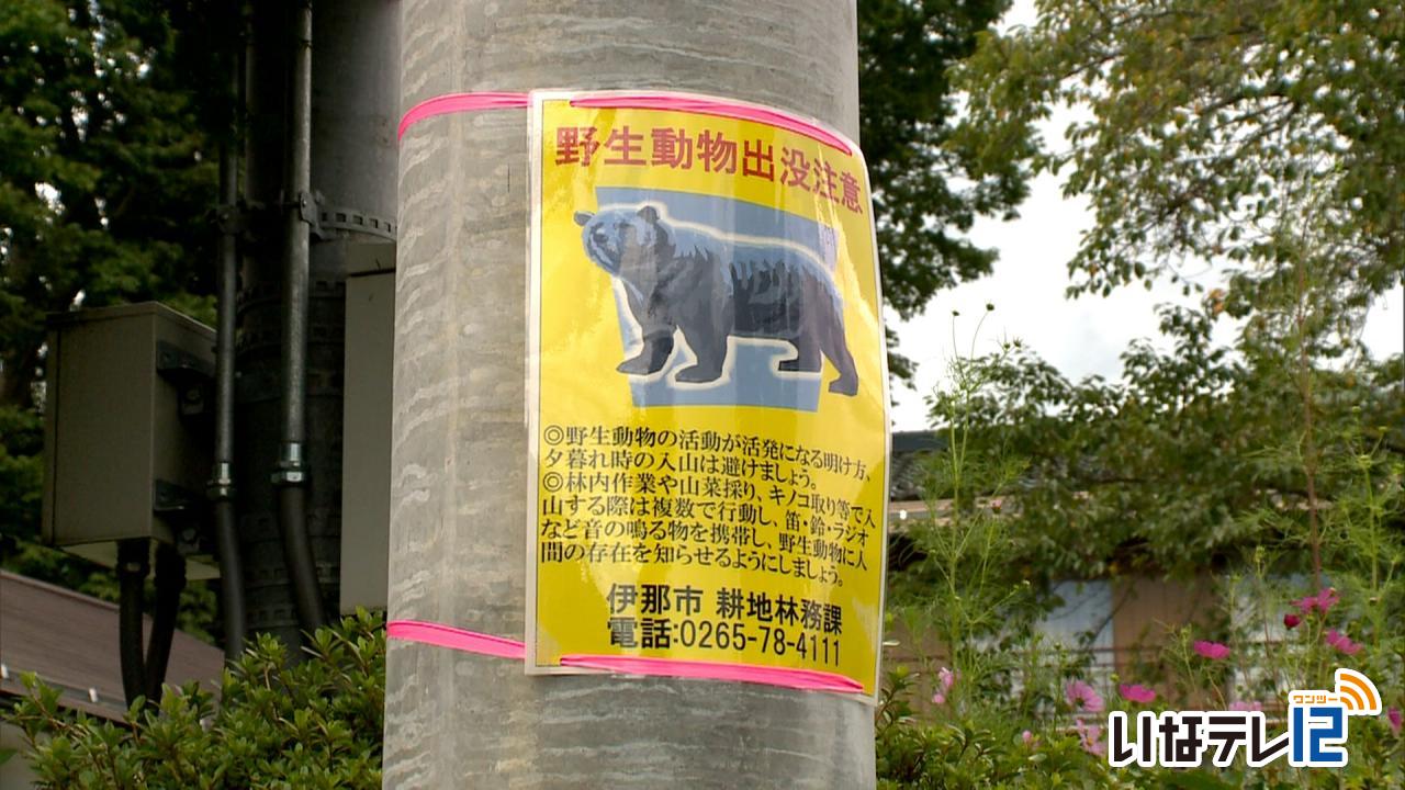 伊那市高遠町で熊が７０代男性を襲う人身事故