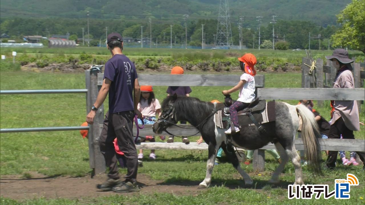 松島保育園の園児が乗馬体験
