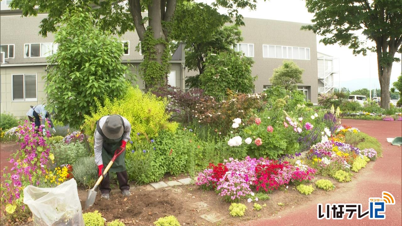 伊那園芸ボランティアの会が花壇の手入れ