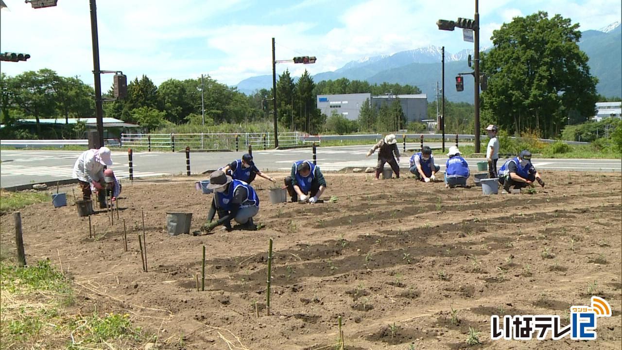 手良の花壇　地元企業がお手伝い