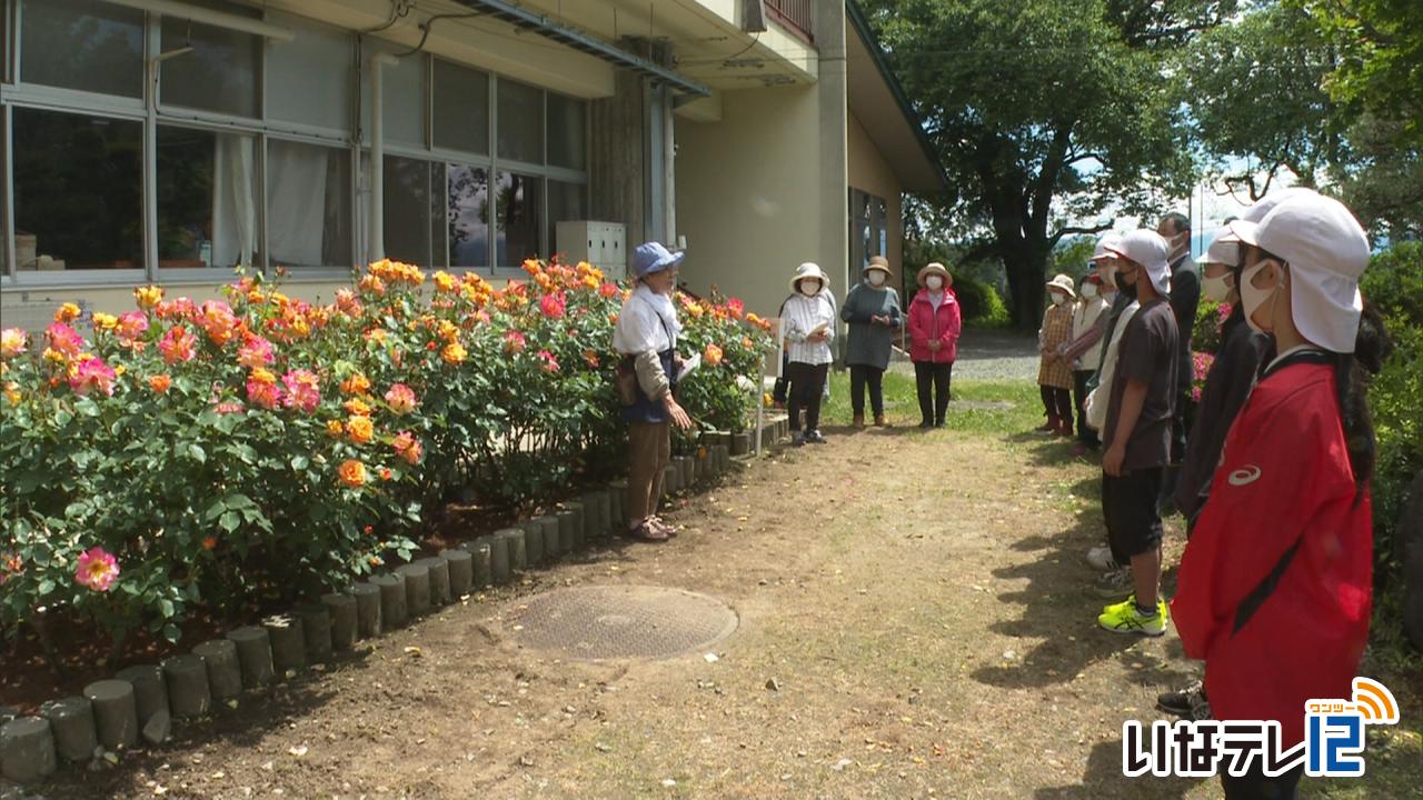 伊那西小　アンネのバラについて学ぶ