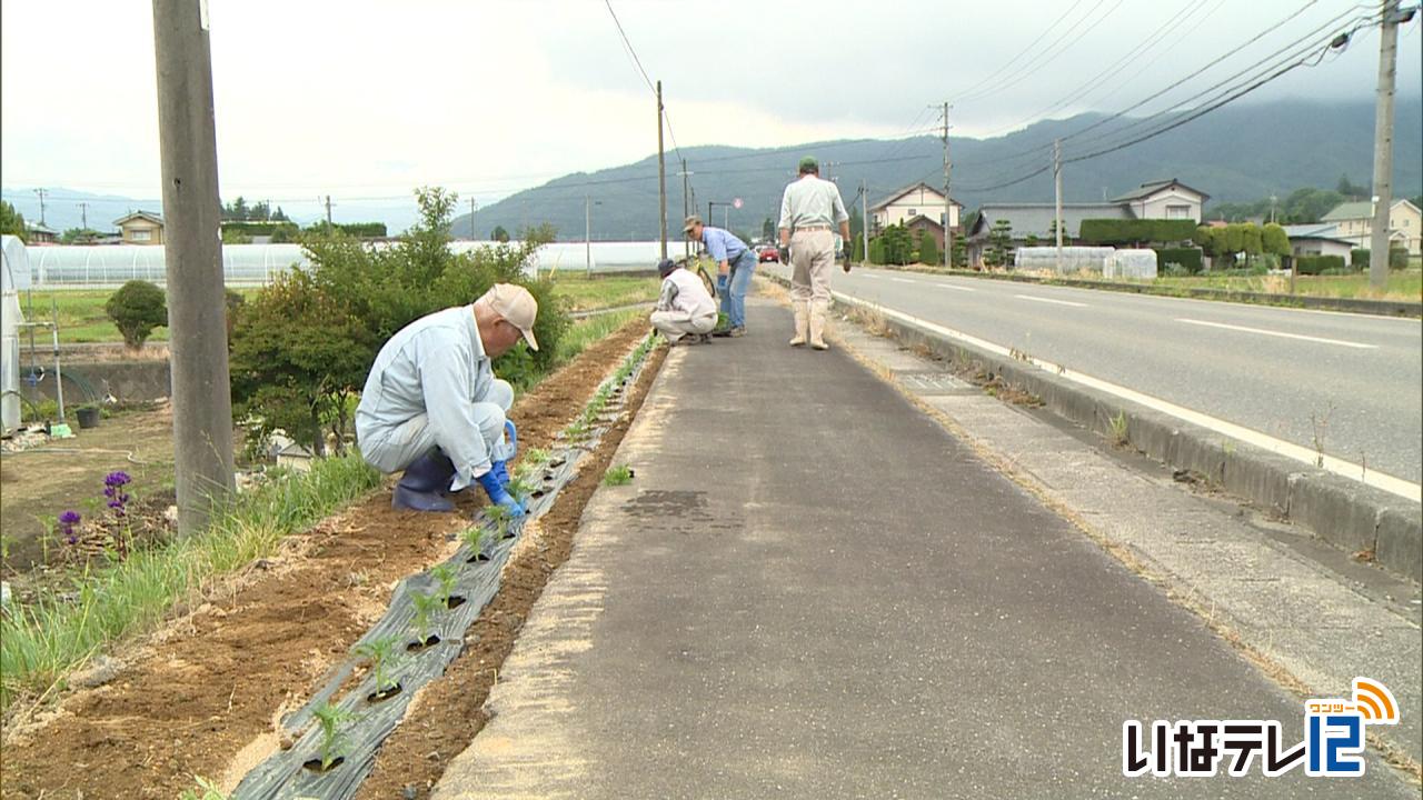 榛原花の会　苗植え作業