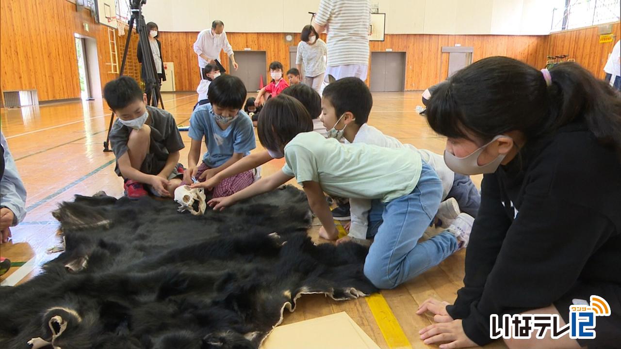 教育・文化・芸能｜伊那西小学校で熊について学ぶ学習会