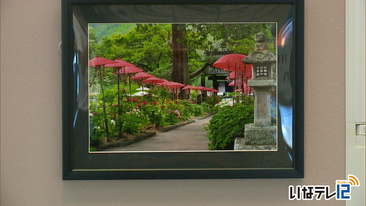 くらし・話題｜高遠町「日本で最も美しい村」推進委員会　フォトコン作品展