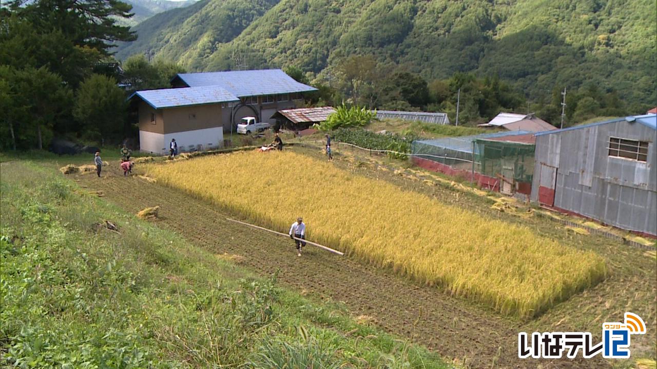 長谷みらい米づくりプロジェクト