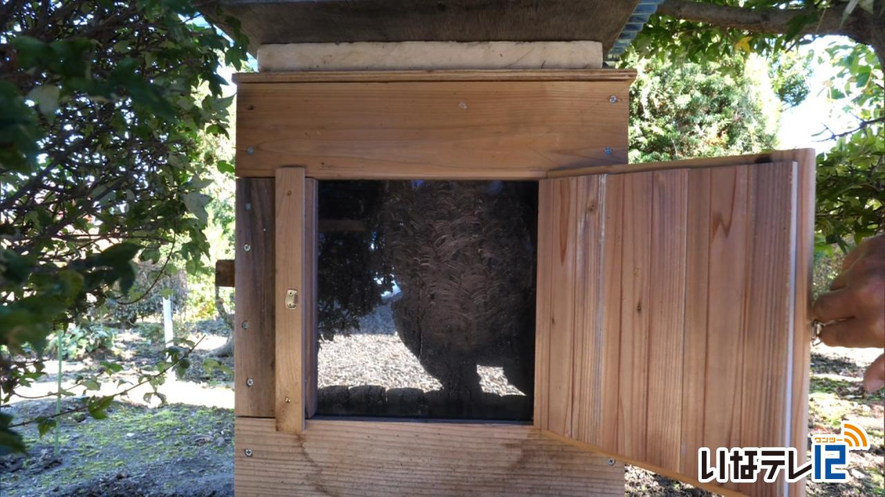 地蜂愛好者　巣作りに励む