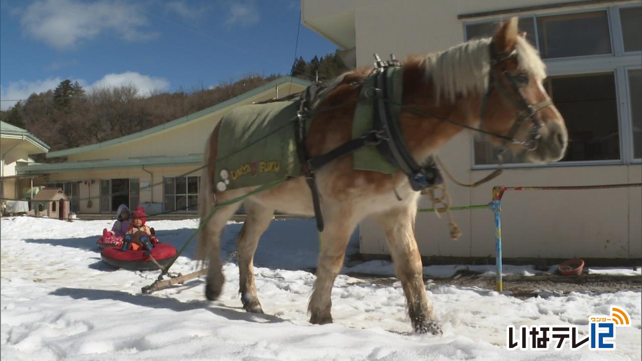 高遠第２・第３保育園で馬そり体験