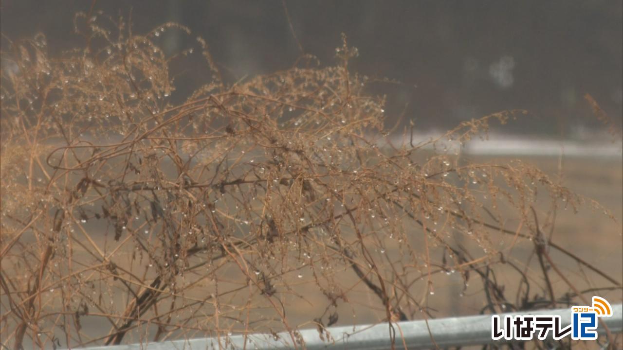 二十四節気「雨水」 けさの伊那地域５月上旬並み