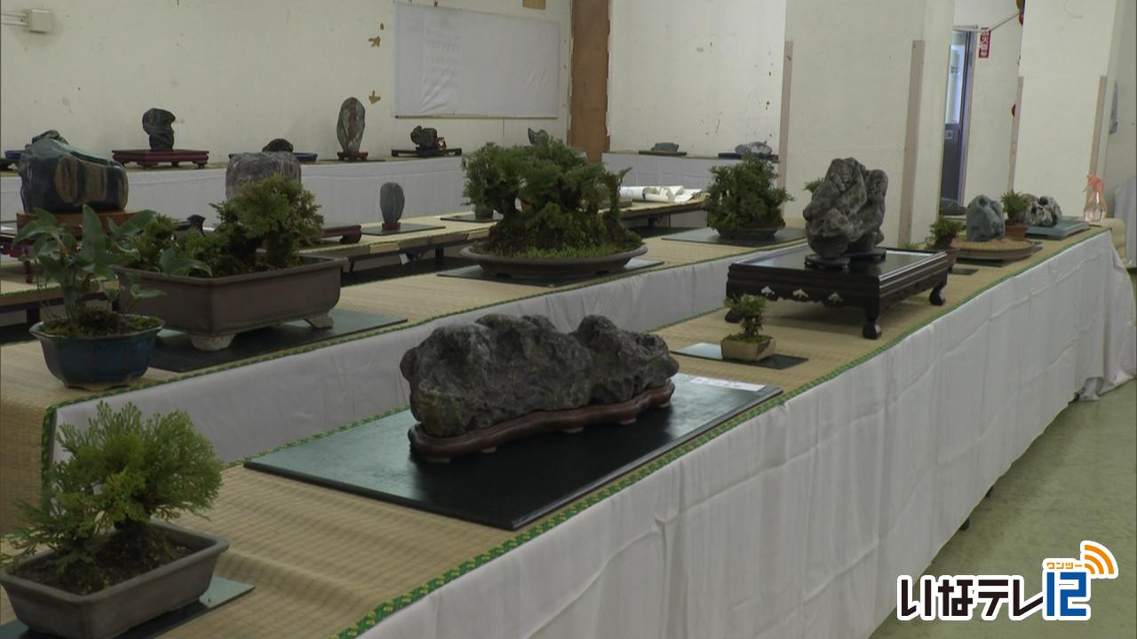 伊那愛石会　６０周年記念水石展 28日・29日開催