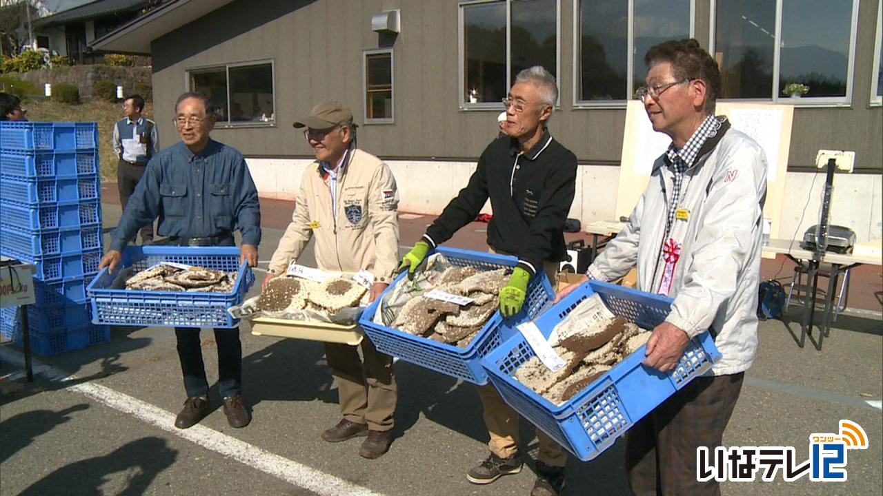 「地蜂の巣」重さコンテスト