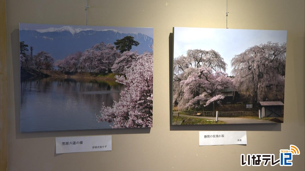 小松さん　桜の写真展