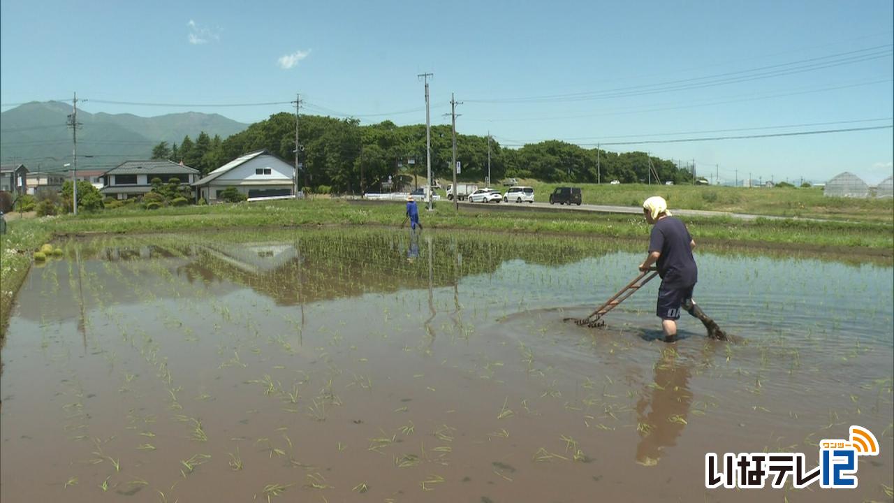 伊那地域 今季最高３０．３度