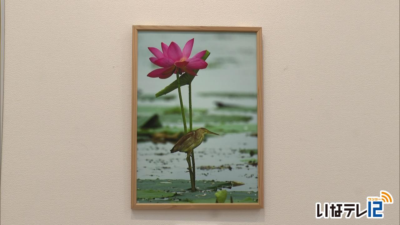 野鳥写真家井上さん 写真展