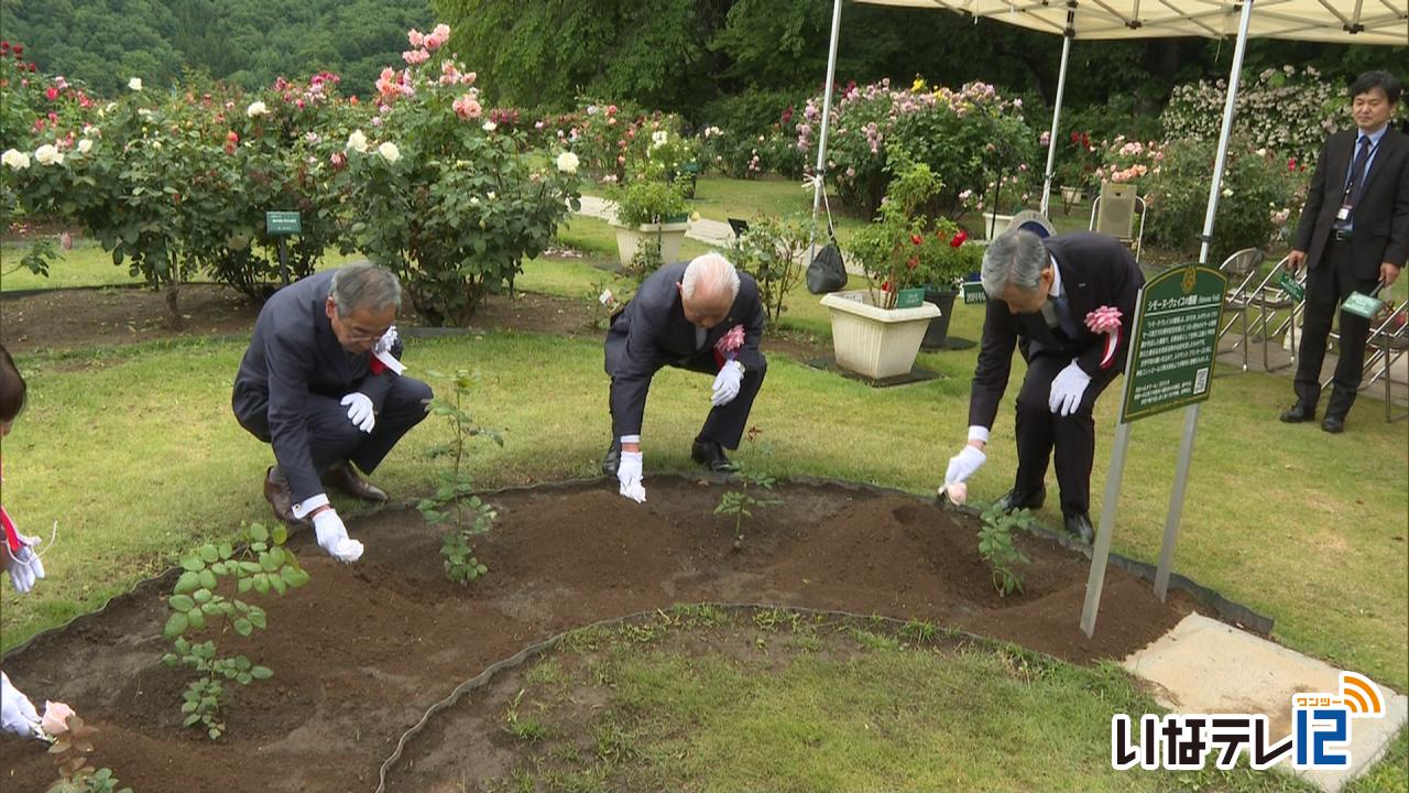 平和願うバラを植樹