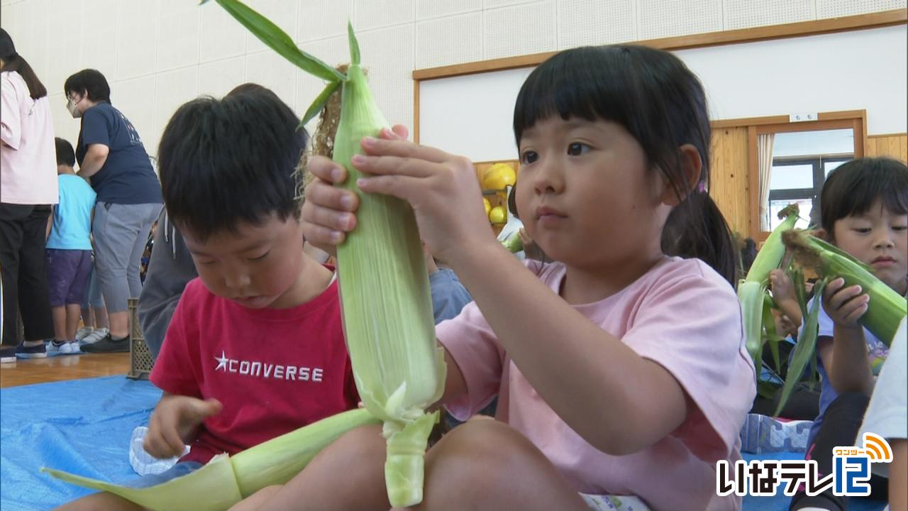 園児にスイートコーンを贈る