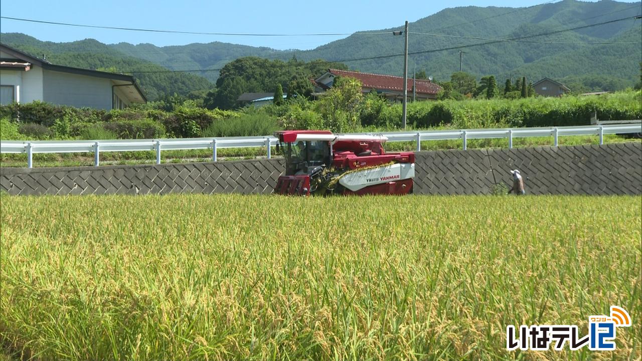 ひと足早く伊那市手良で稲刈り