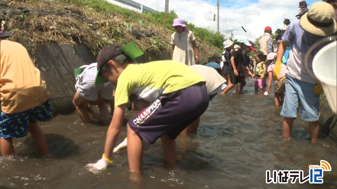 天竜漁協がマスつかみ大会