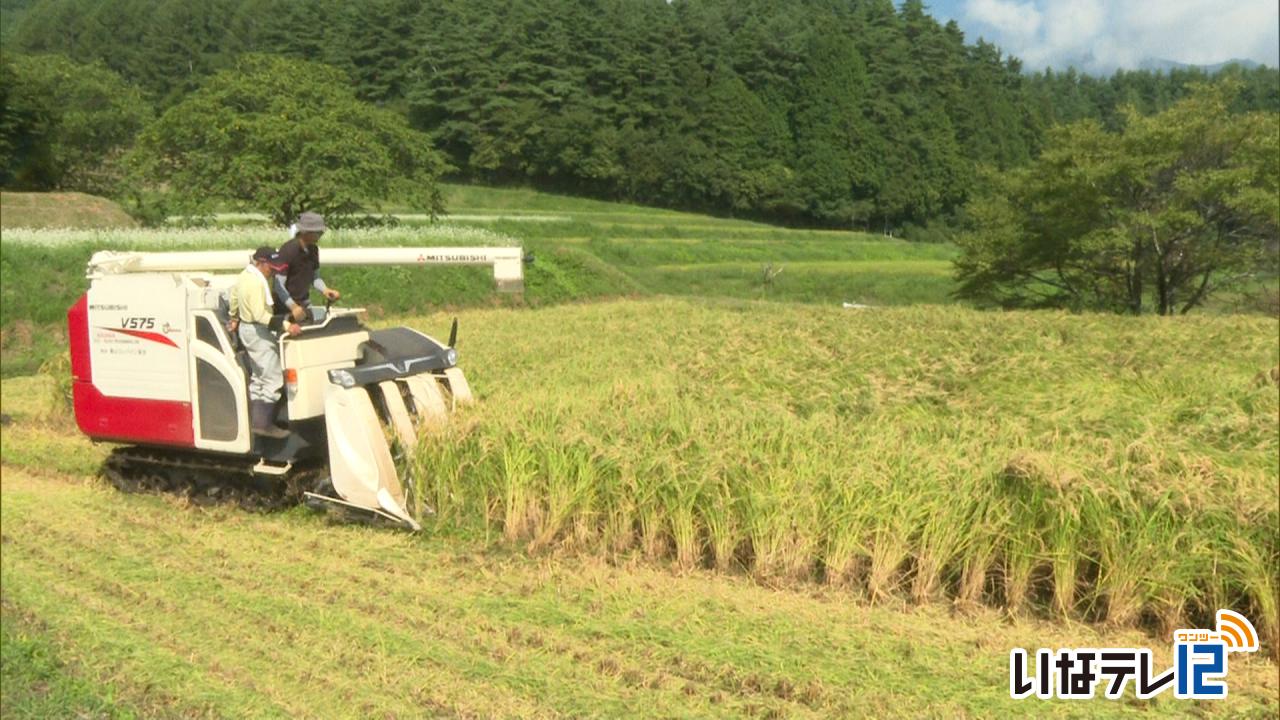 日本酒「維者舎」酒米の稲刈り