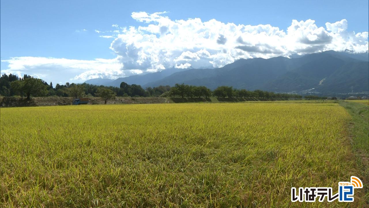 伊那地域３４．６度　熱中症で２人搬送