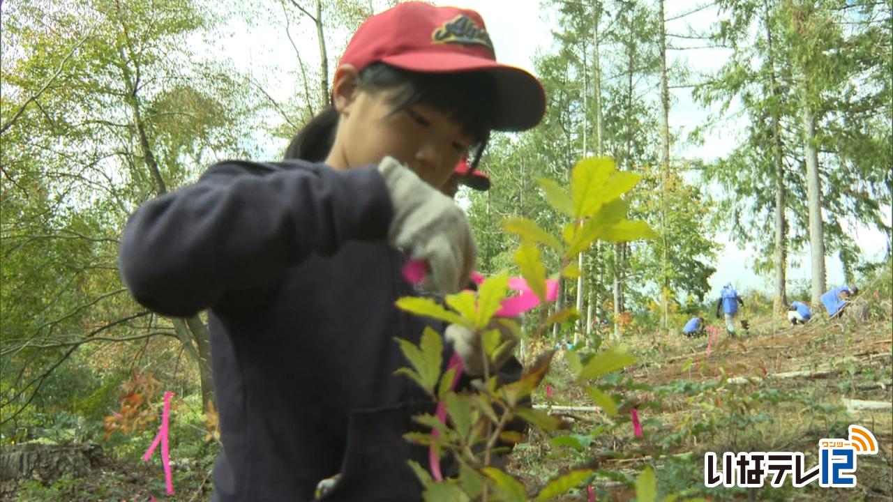 未来の森林へ　ますみヶ丘で植樹