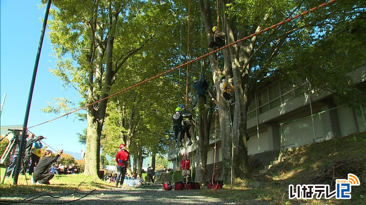 くらし・話題｜箕輪南小６年生　上農高校でツリークライミング