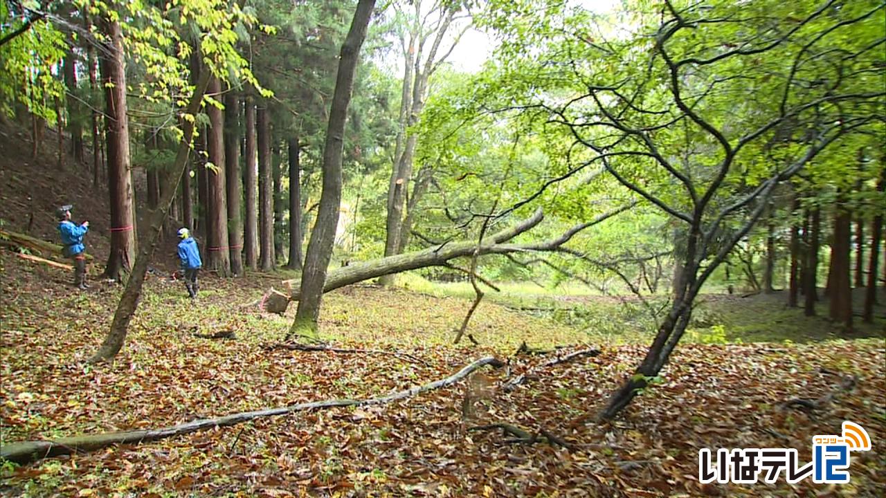 高遠第２・第３保育園　地域材で新園舎に木製品を