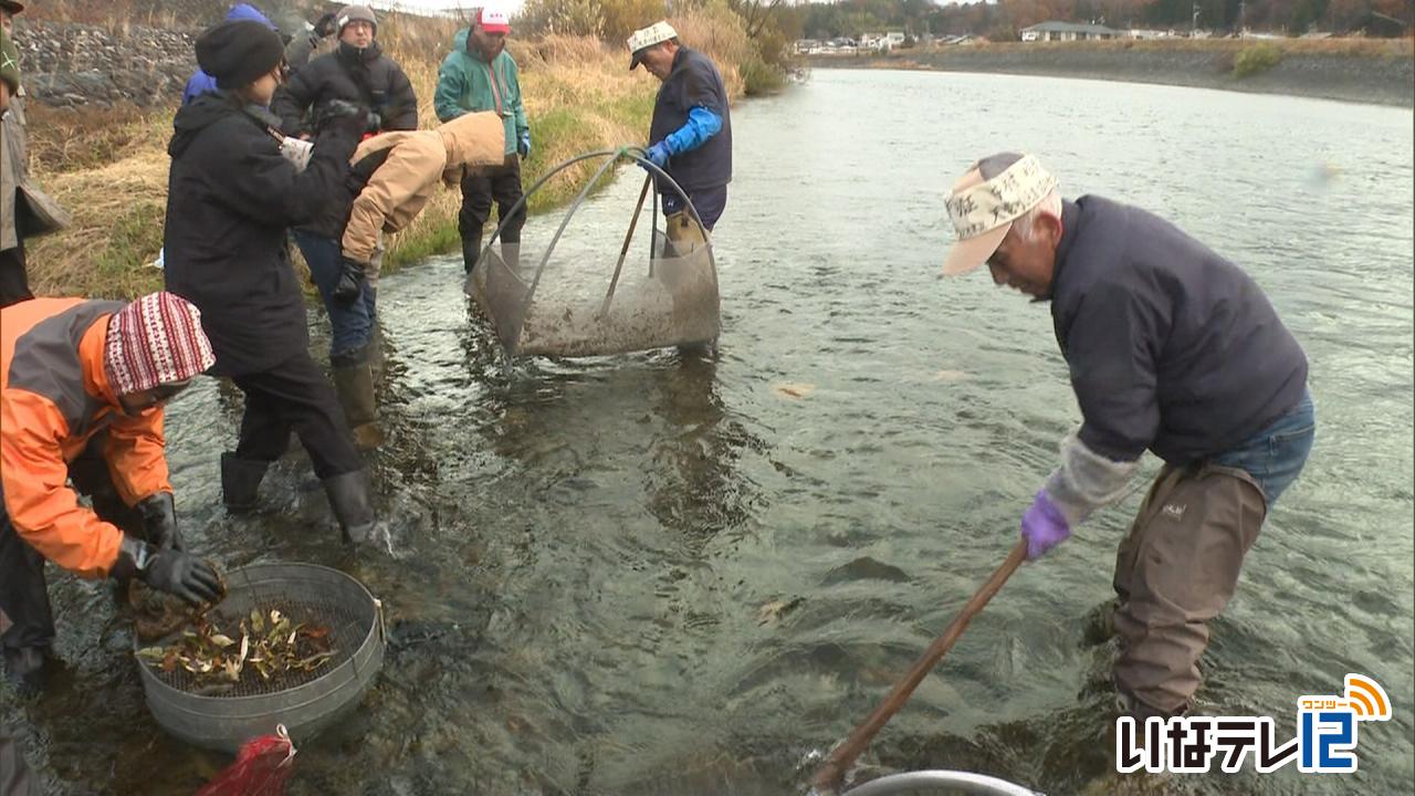 伊那市創造館　ザザムシ漁の見学会