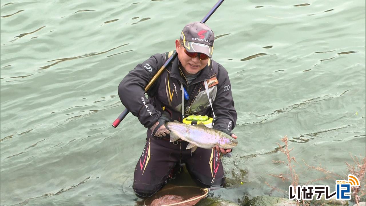 天竜川水系 渓流釣り解禁 