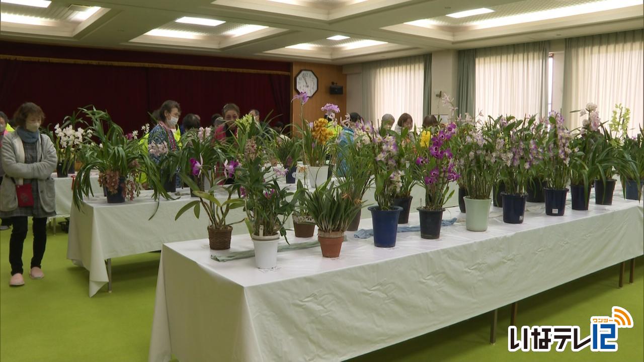 洋ランの花を楽しむ会　展示会