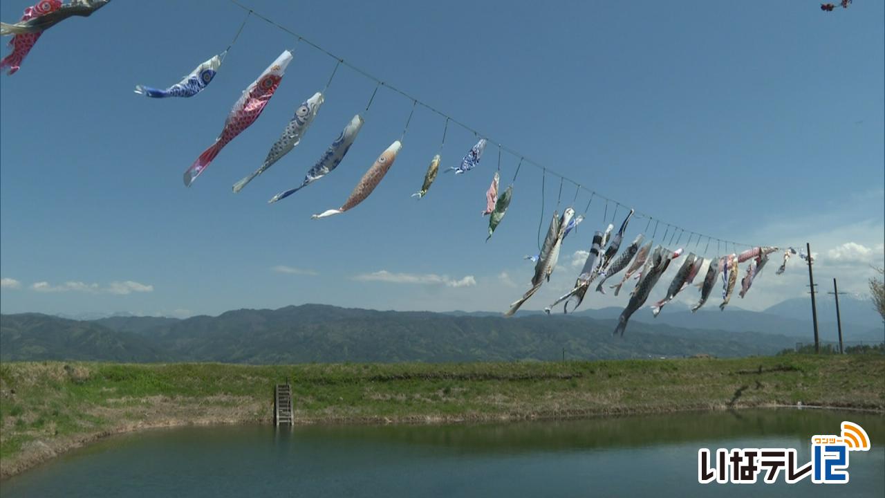 箕輪町上古田 こいのぼりが空泳ぐ
