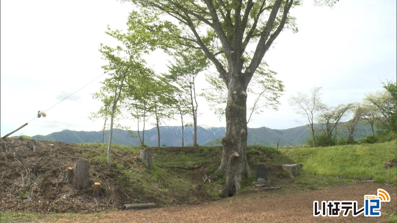 教育・文化・芸能｜上戸水神様　地鎮祭