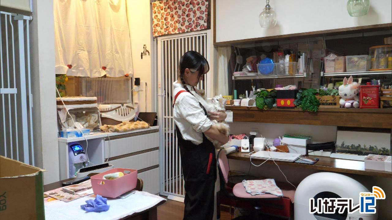 いちごぱんこさん　譲渡型ふれあいハウス開設目指しクラウドファンディング