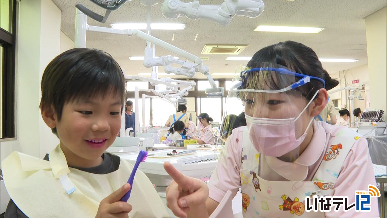 公衆衛生専門学校の学生が園児に歯科指導